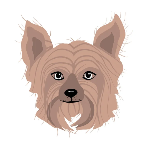 ベクトルアートのかわいいですヨーク子犬ヨークシャーテリア犬動物 — ストックベクタ