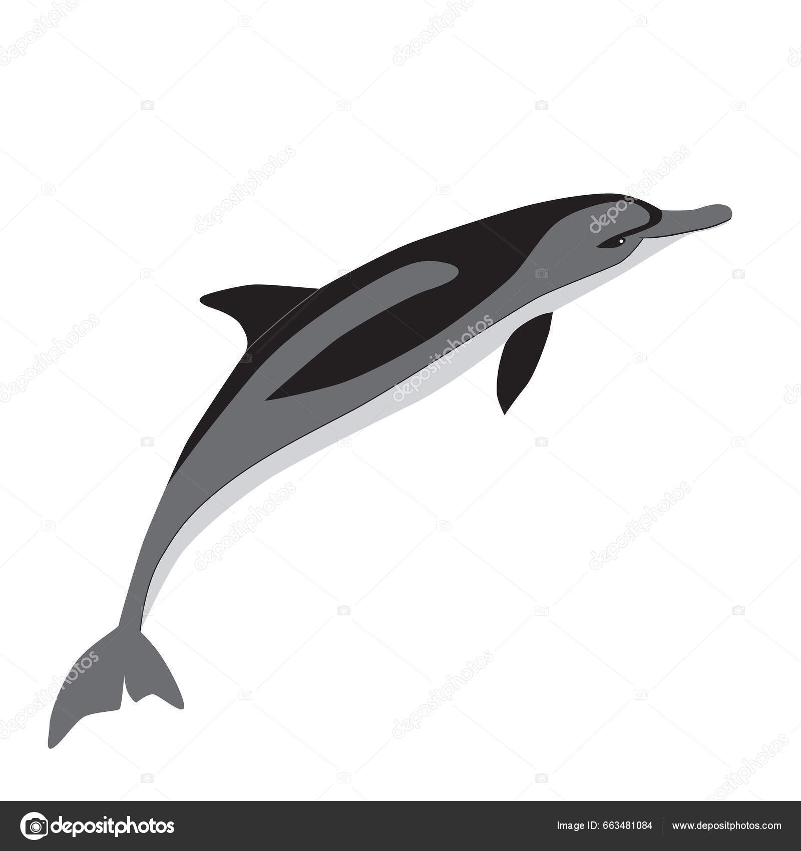 Dolphin Black Tribal Tattoo on White Background Stock Illustration -  Illustration of projectn, fish: 124432987