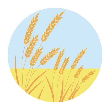 Ekmek ambalajı, bira etiketleri vs. için arpa veya çavdar resimli vektör altın buğday tarlası ve mavi gökyüzü.