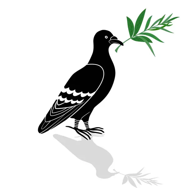 Dove Turtle Dove Olive Branch Isolated White Background Vector Tattoo — Stock Vector