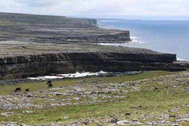 Inishmore, İrlanda 'nın batı kıyısındaki Aran Adaları' nda.