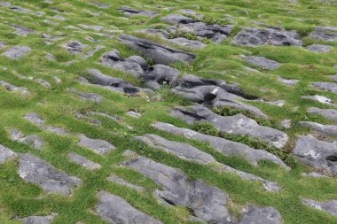 Inishmore, İrlanda 'nın batı kıyısındaki Aran Adaları' nda.