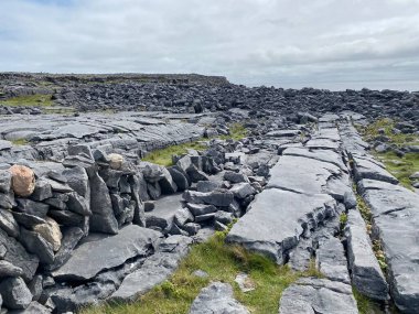 Inishmore, İrlanda 'nın batı kıyısındaki Aran Adaları' nda.