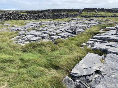 Inishmore, İrlanda 'nın batı kıyısındaki Aran Adaları' nda.