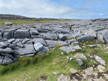 Inishmore, İrlanda 'nın batı kıyısındaki Aran Adaları' nda.
