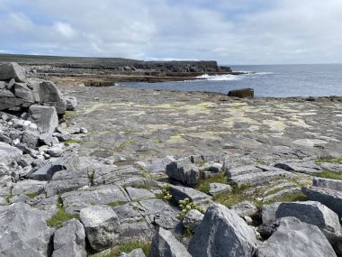 Inishmore, İrlanda 'nın batı kıyısındaki Aran Adaları' nda.