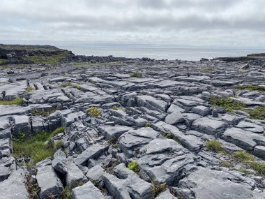 Inishmore Sitesi, İrlanda 'nın batı kıyısındaki Aran Adaları' nda.