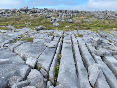 Inishmore Sitesi, İrlanda 'nın batı kıyısındaki Aran Adaları' nda.