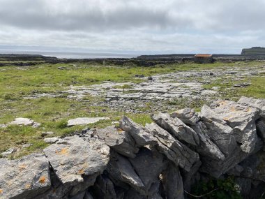 Inishmore Sitesi, İrlanda 'nın batı kıyısındaki Aran Adaları' nda.