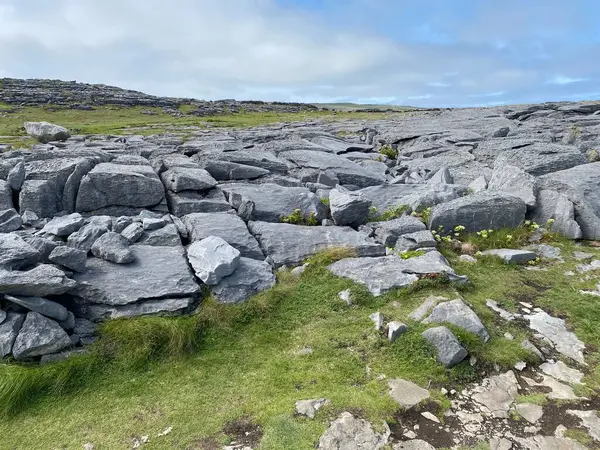 Inishmore, İrlanda 'nın batı kıyısındaki Aran Adaları' nda.
