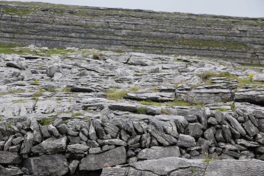 Aran Adaları, İrlanda 'nın batı kıyısı.