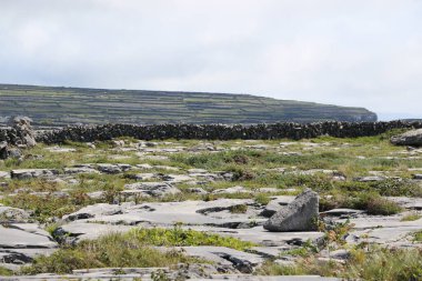 Aran Adaları, İrlanda 'nın batı kıyısı.