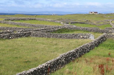 Aran Adaları, İrlanda 'nın batı kıyısı.