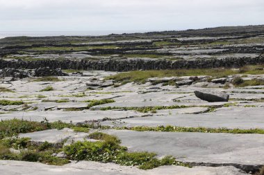 Aran Adaları, İrlanda 'nın batı kıyısı.