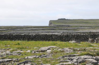 Aran Adaları, İrlanda 'nın batı kıyısı.