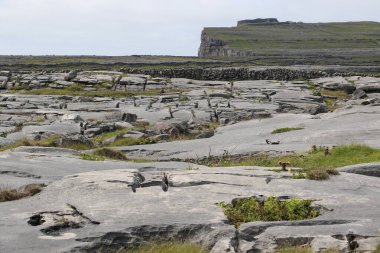 Aran Adaları, İrlanda 'nın batı kıyısı.
