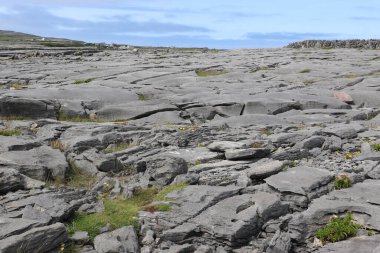 Aran Adaları, İrlanda 'nın batı kıyısı.
