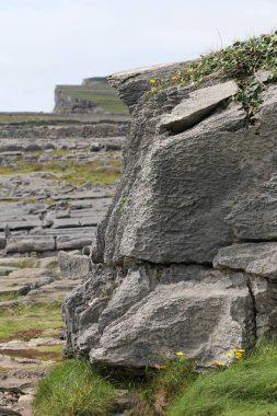 Aran Adaları, İrlanda 'nın batı kıyısı.