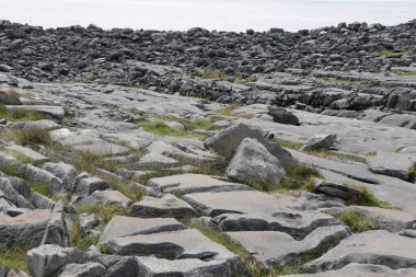 Aran Adaları, İrlanda 'nın batı kıyısı.