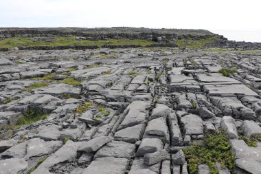 Aran Adaları, İrlanda 'nın batı kıyısı.