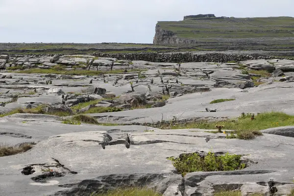 Aran Adaları, İrlanda 'nın batı kıyısı.