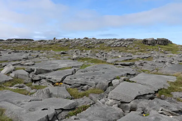 Aran Adaları, İrlanda 'nın batı kıyısı.