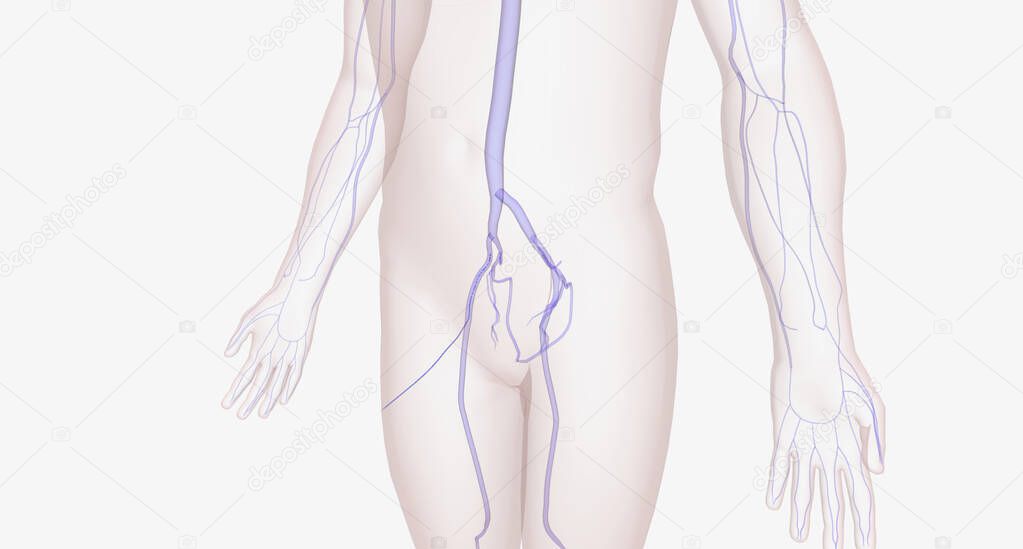 Bases De Resina 32 Mm, Batalla De Hermanas, Sororitas, Santuario