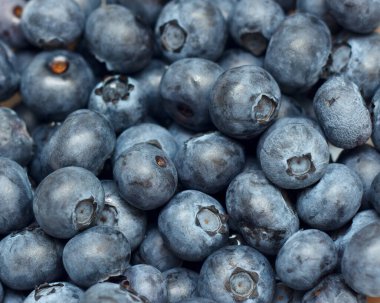 Büyük olgun mavi Amerikan yabanmersini.