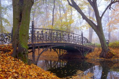 Sonbahar parkında sisli bir sabah