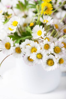 Beyaz masadaki yabani papatya çiçeklerini kapat, seçici odak görüntüsü