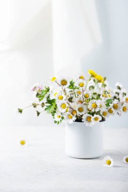 Yaz konsepti: Beyaz masada yabani papatya çiçekleri, seçici odak resmi