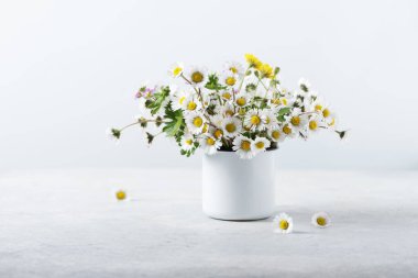 Yaz konsepti: Beyaz masada yabani papatya çiçekleri, seçici odak resmi