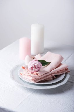 Beyaz renkli keten masa örtüsü ve şakayık, seçici odak resmi olan zarif bir masa.