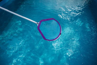 Woman cleaning swimming pool of fallen leaves with net in summer
