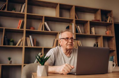 Laptop ile evde çalışan üst düzey adam. Evde bilgisayarı kullanan ihtiyar sandalyede oturan ve ekrana bakarak. Gözlük takan ve oturma odasında dizüstü bilgisayar üzerinde çalışan yaşlı dede.