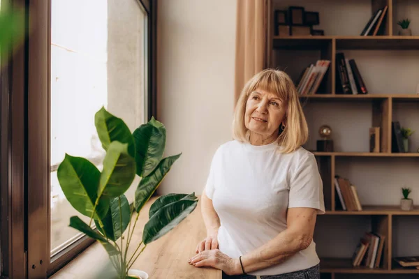 Emeklilik sorunları. Depresyonda olan yaşlı Latin bayan pencerenin kenarında dikiliyor ve kötü sağlık yalnızlığından rahatsız görünüyor. Üzgün, olgun, İspanyol bir büyükanne, çocuklarını özlüyor. Kocası hüzünlü, ağır düşüncelerde kaybolmuş.