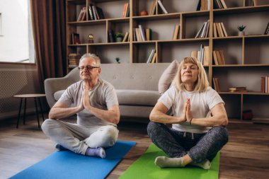 Yaşlı yaşlı büyük anne ve büyük baba eşleri, evde spor yaparken dizüstü bilgisayarla spor yapıyor. Şekil verme, formda kalma, tecritte yoga egzersizi yapma.