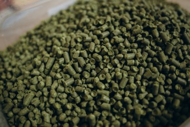 Green ripe hop cones for brewery and bakery background pattern