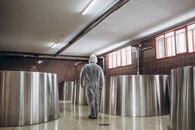 Yakışıklı bir bira imalatçısı bira fabrikasındaki biraları inceliyor..