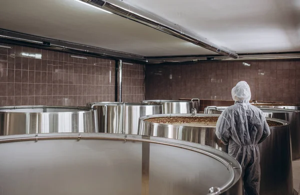 Bonito Cervejeiro Barbudo Controlando Processo Fermentação Cerveja Sua Fábrica Cerveja — Fotografia de Stock