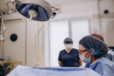 Ameliyathanede ameliyat sırasında doktor. Ameliyathanede ameliyat yapan profesyonel bir kadın doktor. Plastik cerrahi, yakın plan..