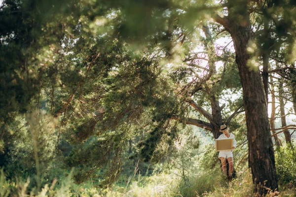 Uma Artista Mulher Pinta Quadro Debaixo Uma Árvore — Fotografia de Stock