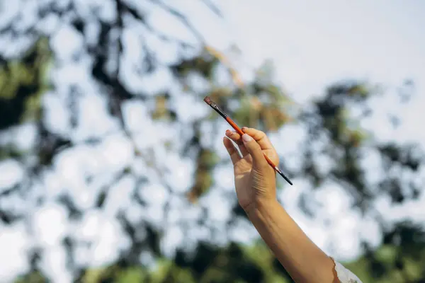 stock image artist holding a paint brush close-up.