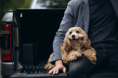 Cocker köpeği sahibinin bacağına sarılır.