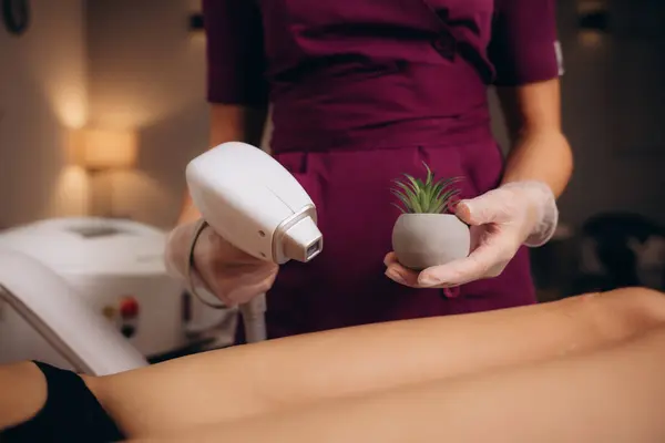 a woman in a laser hair removal Studio poses with a cactus shallow depth of field. High quality photo