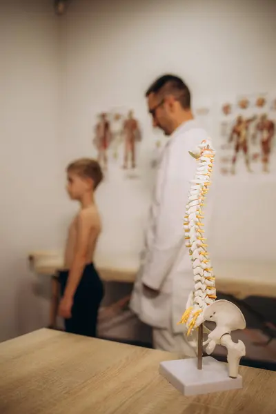 A pediatric neurologist doctor examines the back of a 5-year-old boy who has back pain. Treatment of muscle pain and scoliosis in children