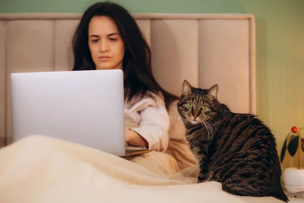 Nenucená Dívka Pracující Notebooku Svou Kočkou Sedí Spolu Moderním Pokoji — Stock fotografie