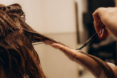 Stüdyoda kuaför saçı boyuyor. Yüksek kalite fotoğraf