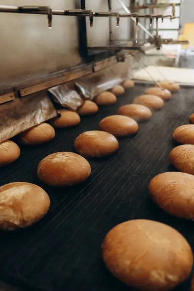 Frische Brötchen Aus Dem Ofen Förderband Mit Brot Brot Backen lizenzfreie Stockbilder
