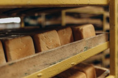 Bir sürü ekmek rafta taşınmaya hazırlanıyor. Taze ürünleri olan ekmek fırını gıda fabrikası üretimi. Otomatik fırın ürünleri üretimi.